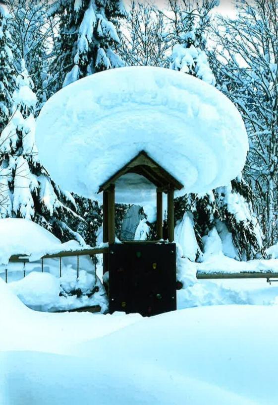 Merryshof Sankt Ulrich am Pillersee Bagian luar foto